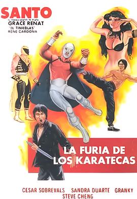 空手道杀手之怒